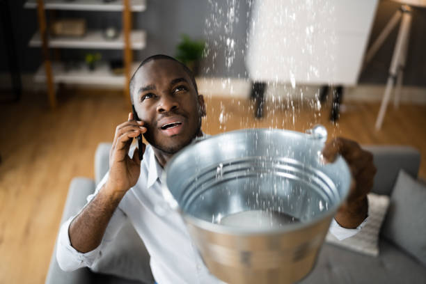Best Residential water damage restoration  in Rigby, ID