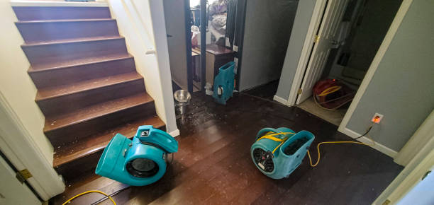 Best Commercial water damage restoration  in Rigby, ID
