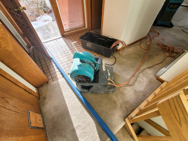 Trusted Rigby, ID Water damage restoration Experts